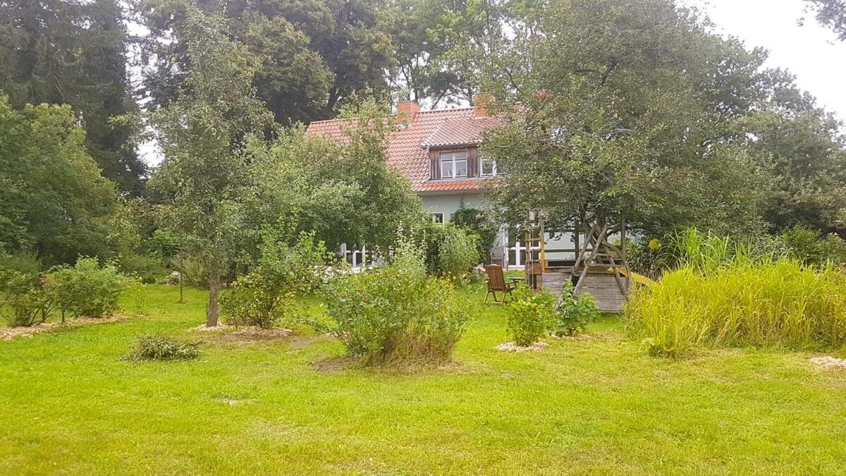 Ferienhaus Salvia Gremersdorf-Buchholz Ngoại thất bức ảnh