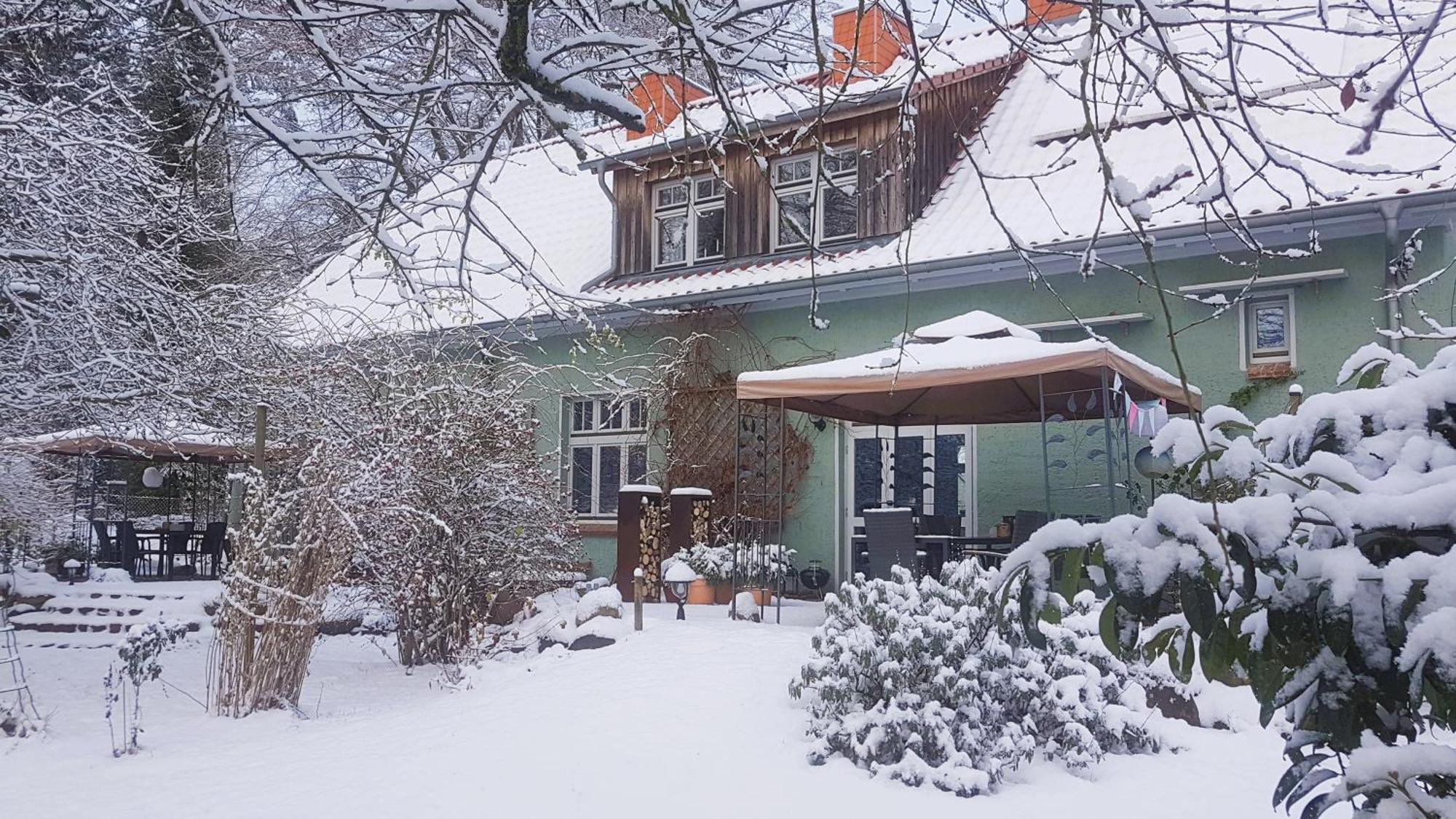 Ferienhaus Salvia Gremersdorf-Buchholz Ngoại thất bức ảnh