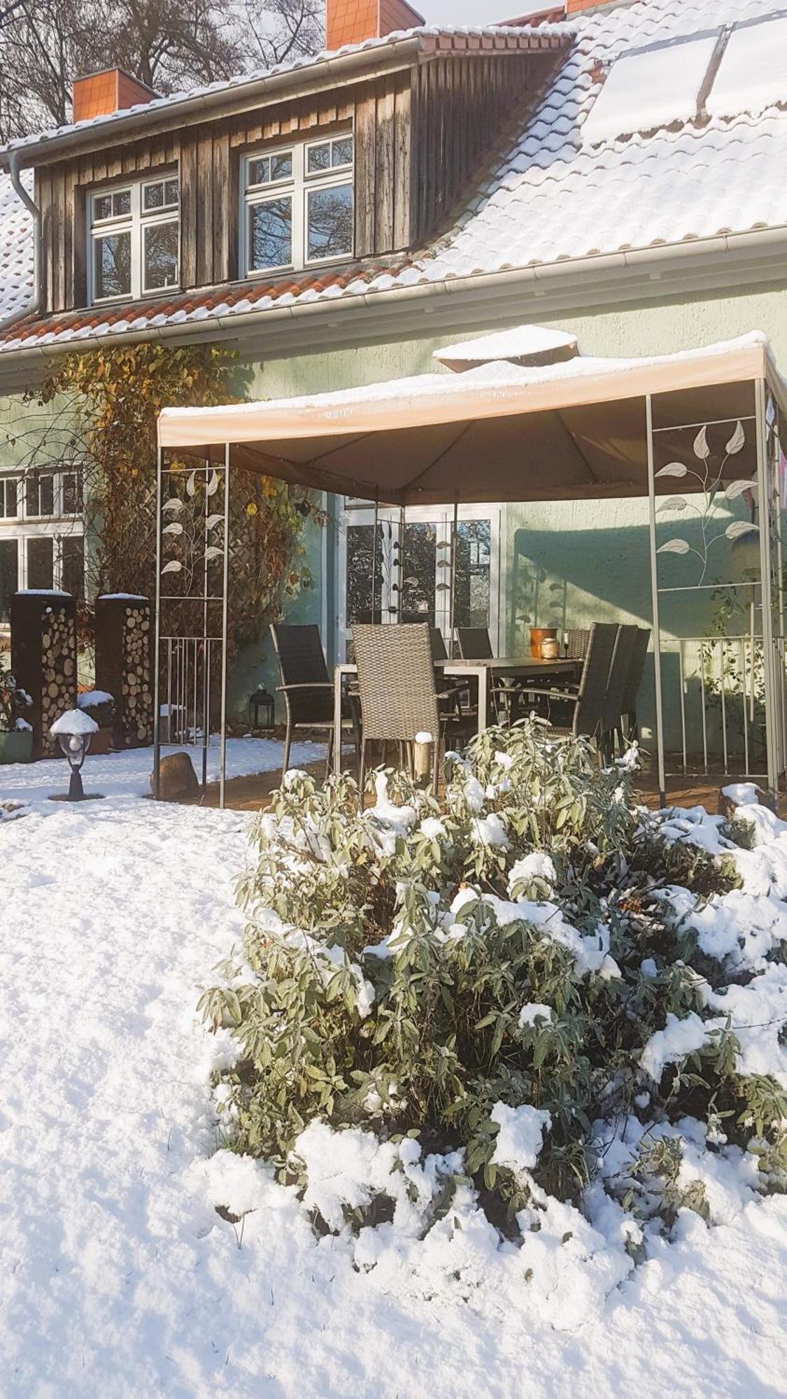 Ferienhaus Salvia Gremersdorf-Buchholz Ngoại thất bức ảnh