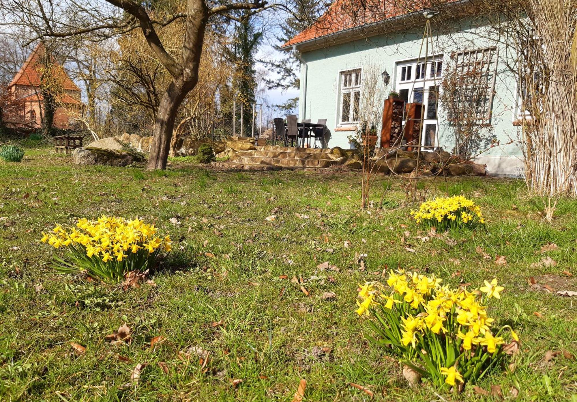 Ferienhaus Salvia Gremersdorf-Buchholz Ngoại thất bức ảnh