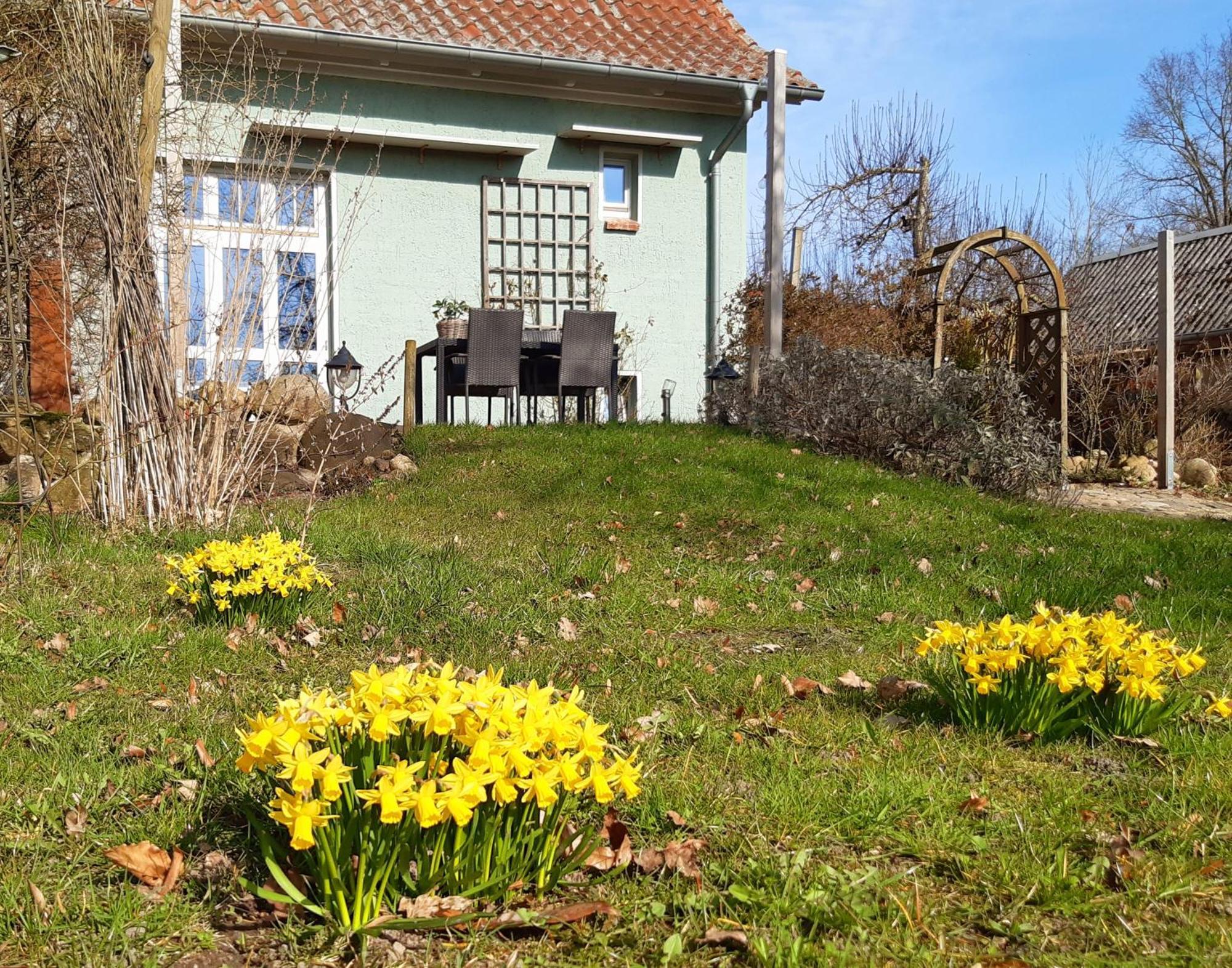 Ferienhaus Salvia Gremersdorf-Buchholz Ngoại thất bức ảnh