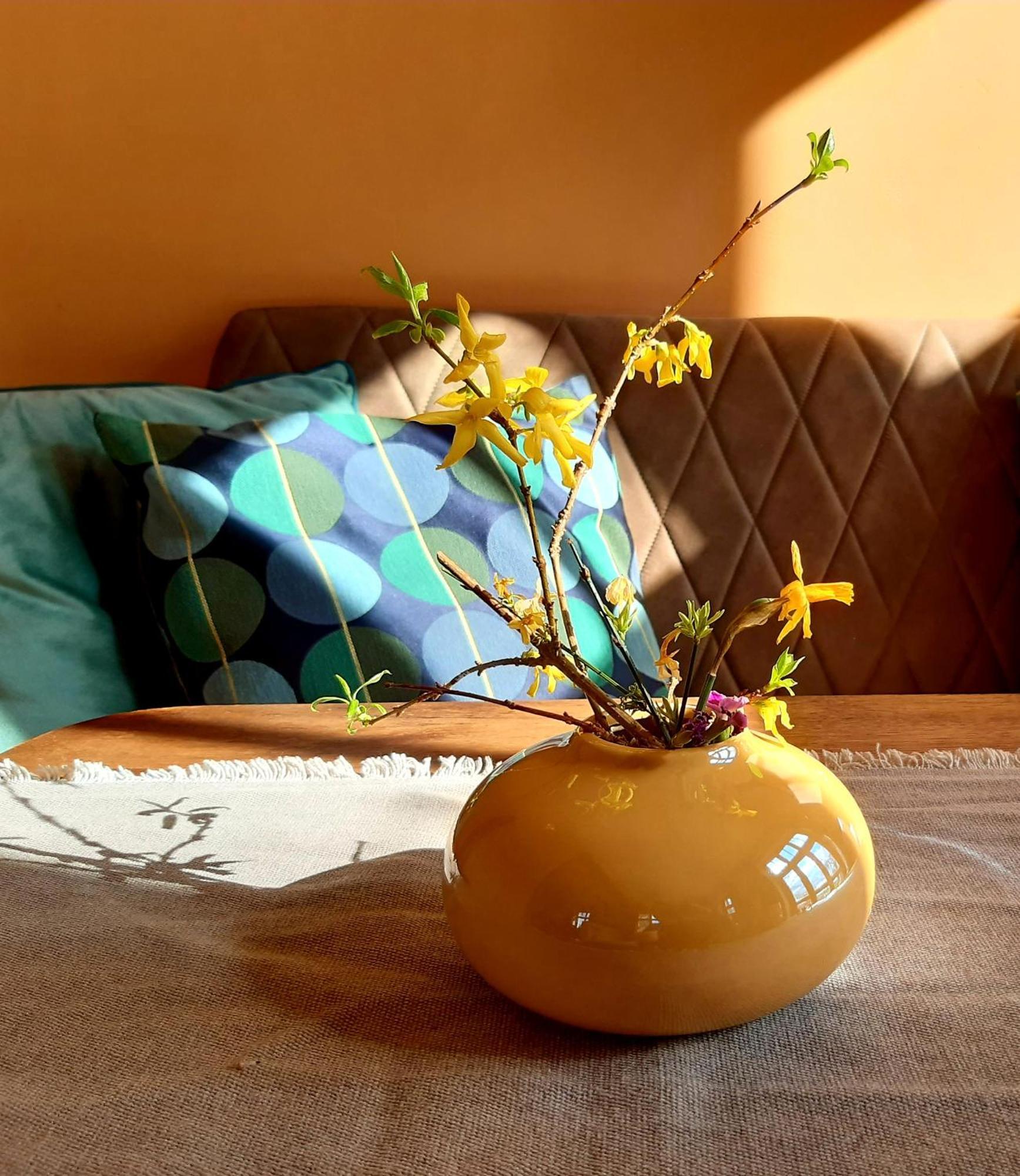 Ferienhaus Salvia Gremersdorf-Buchholz Ngoại thất bức ảnh