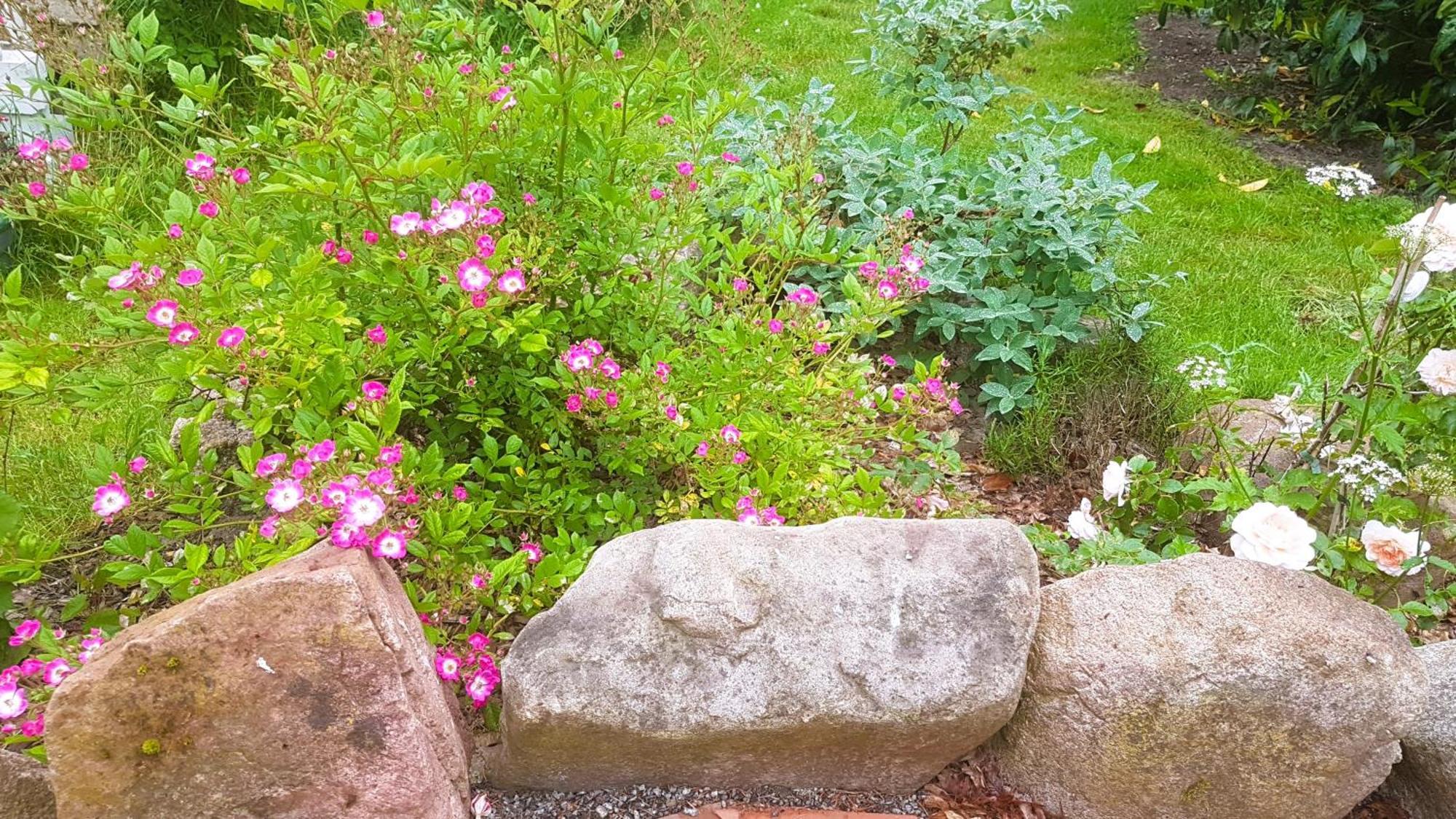 Ferienhaus Salvia Gremersdorf-Buchholz Ngoại thất bức ảnh