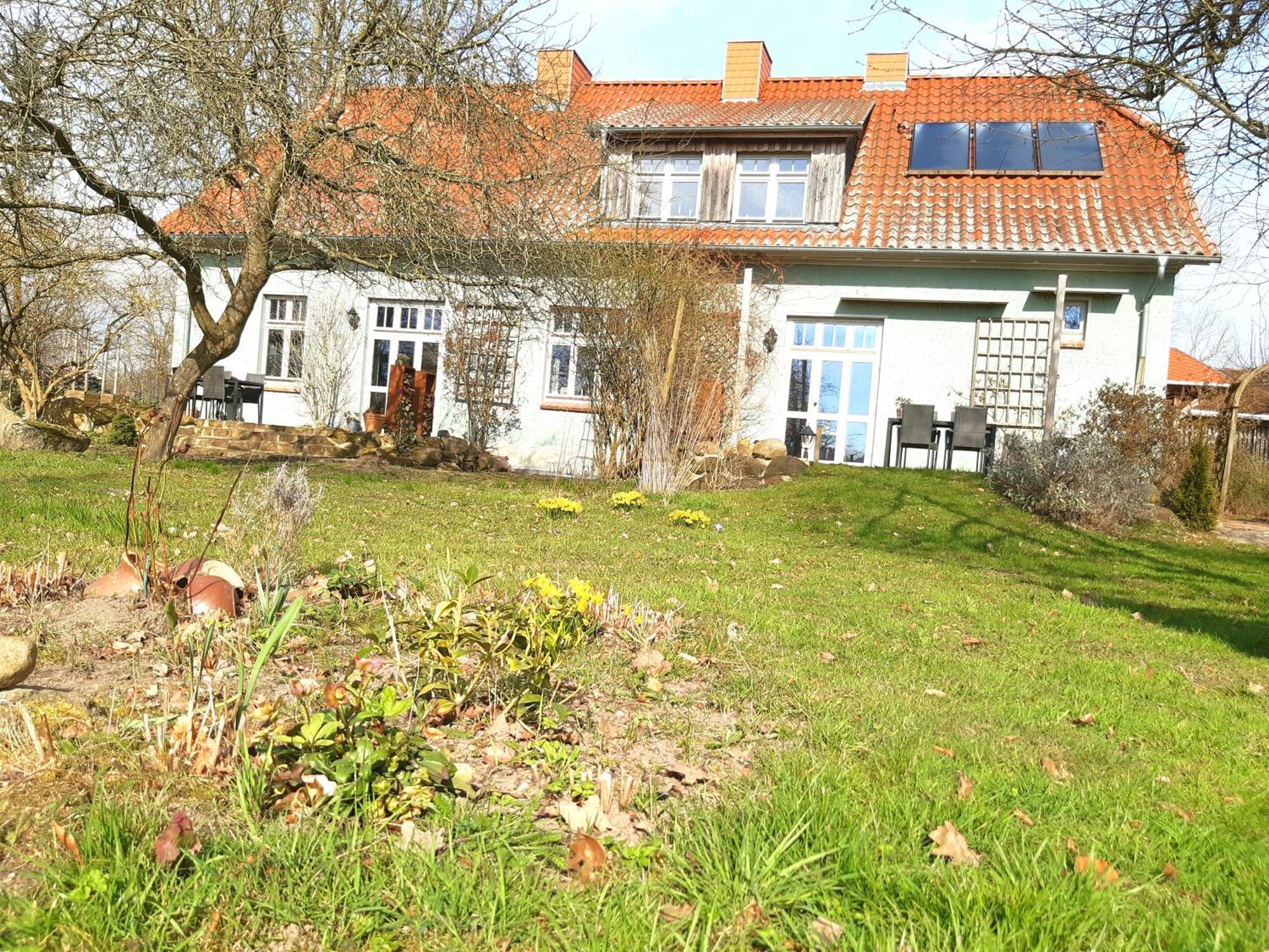 Ferienhaus Salvia Gremersdorf-Buchholz Ngoại thất bức ảnh