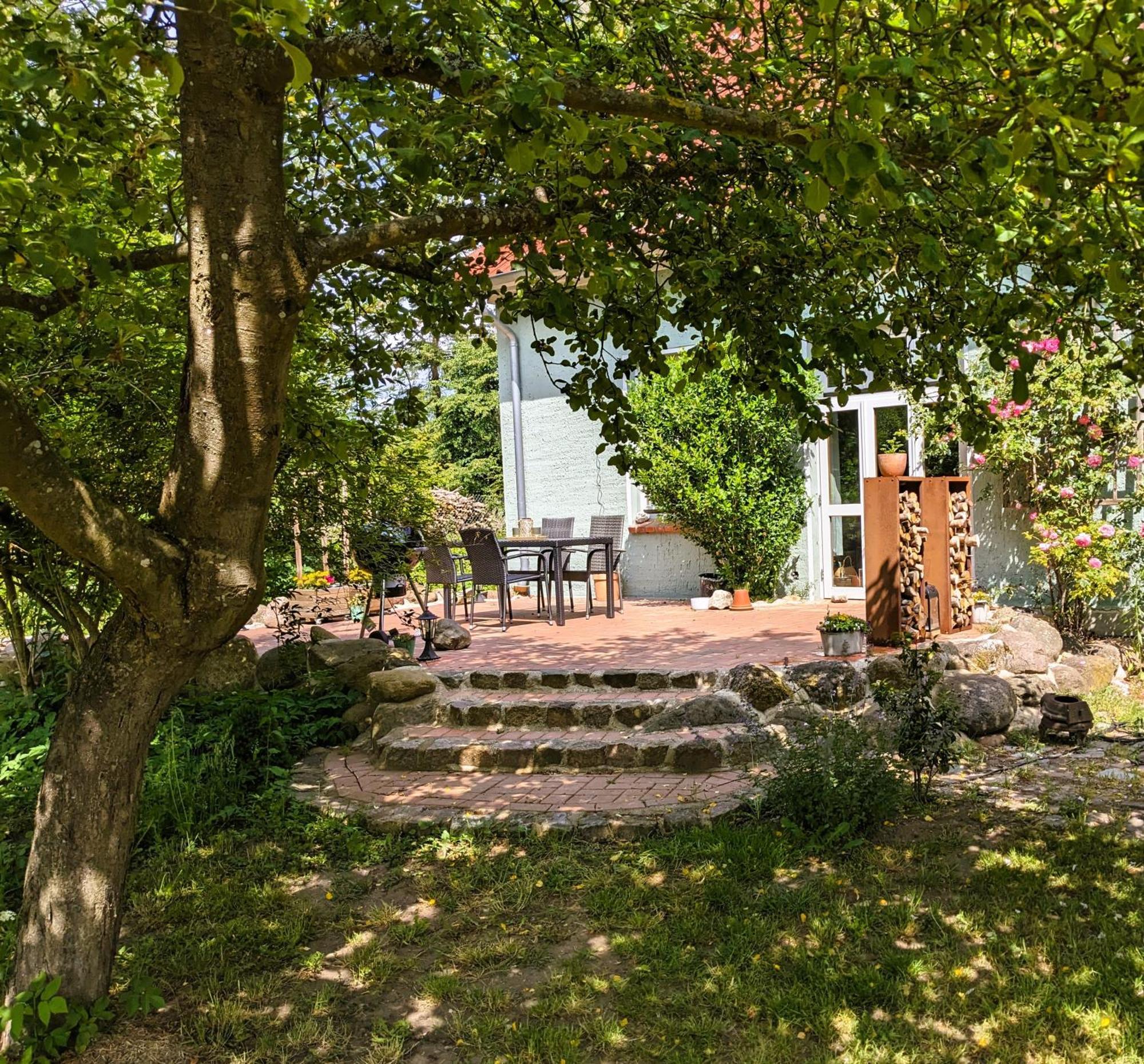 Ferienhaus Salvia Gremersdorf-Buchholz Ngoại thất bức ảnh